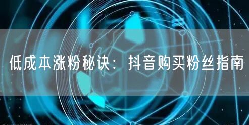 低成本涨粉秘诀：抖音购买粉丝指南