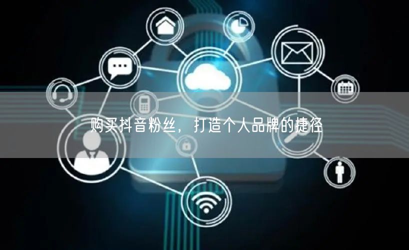 购买抖音粉丝，打造个人品牌的捷径