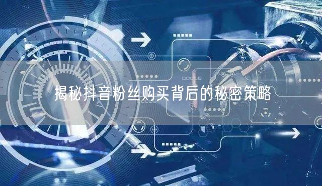 揭秘抖音粉丝购买背后的秘密策略