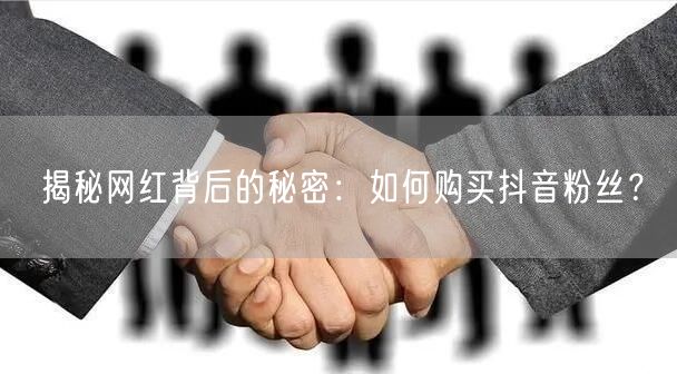 揭秘网红背后的秘密：如何购买抖音粉丝？