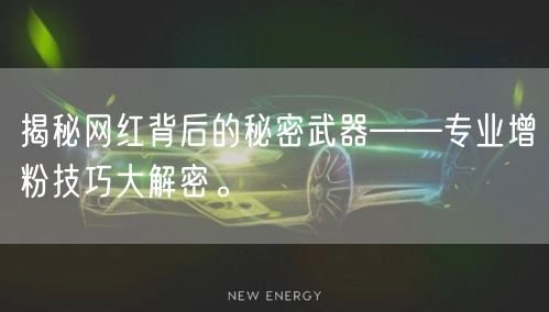 揭秘网红背后的秘密武器——专业增粉技巧大解密。