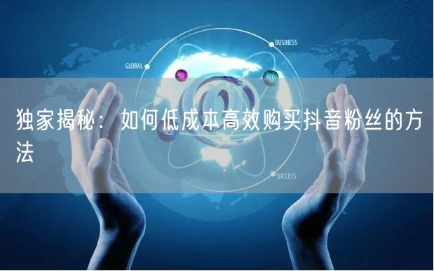 独家揭秘：如何低成本高效购买抖音粉丝的方法