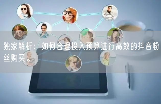 独家解析：如何合理投入预算进行高效的抖音粉丝购买。