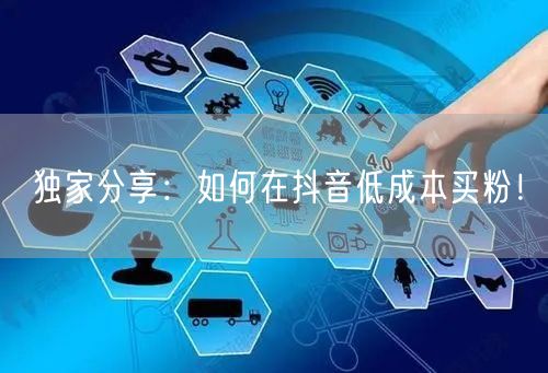 独家分享：如何在抖音低成本买粉！