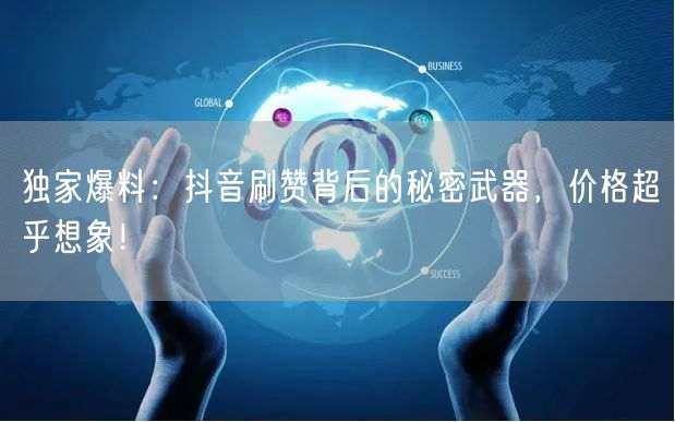 独家爆料：抖音刷赞背后的秘密武器，价格超乎想象！
