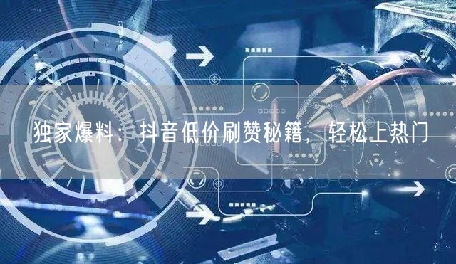 独家爆料：抖音低价刷赞秘籍，轻松上热门