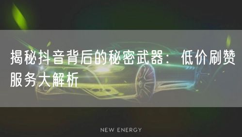 揭秘抖音背后的秘密武器：低价刷赞服务大解析