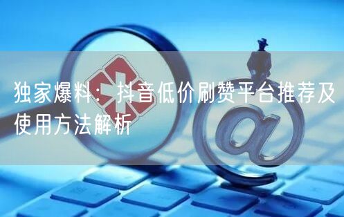 独家爆料：抖音低价刷赞平台推荐及使用方法解析