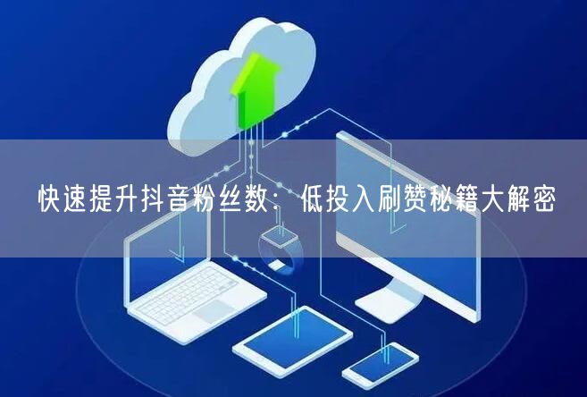 快速提升抖音粉丝数：低投入刷赞秘籍大解密