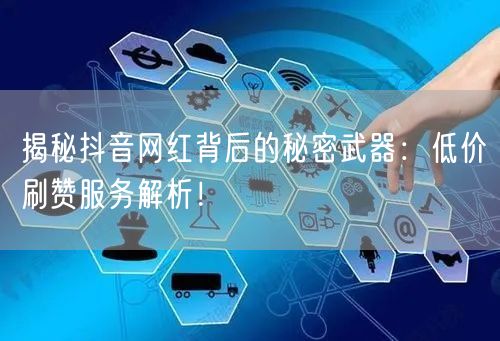 揭秘抖音网红背后的秘密武器：低价刷赞服务解析！