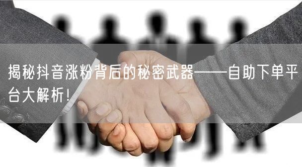揭秘抖音涨粉背后的秘密武器——自助下单平台大解析！