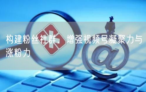 构建粉丝社群，增强视频号凝聚力与涨粉力