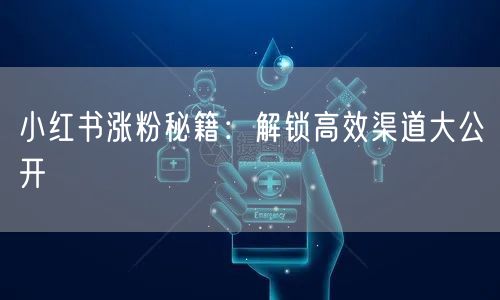 小红书涨粉秘籍：解锁高效渠道大公开