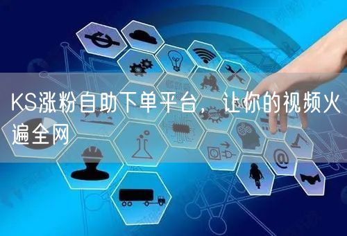 KS涨粉自助下单平台，让你的视频火遍全网