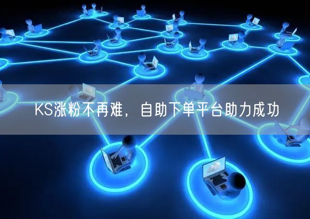 KS涨粉不再难，自助下单平台助力成功