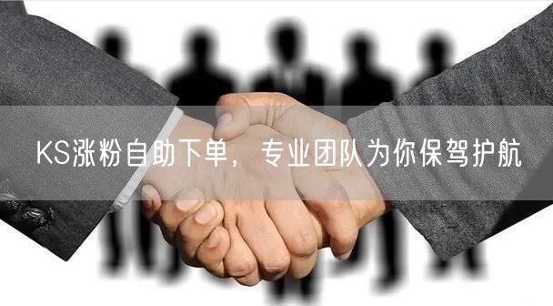 KS涨粉自助下单，专业团队为你保驾护航
