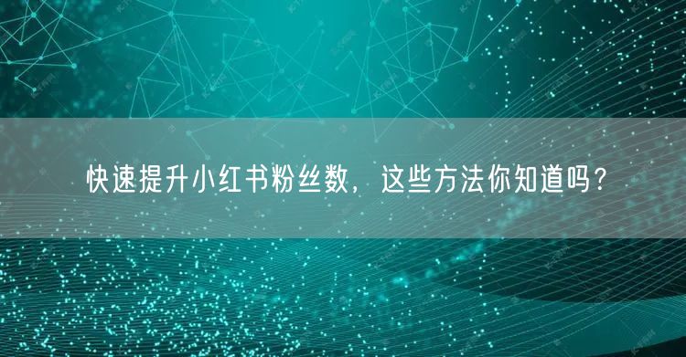 快速提升小红书粉丝数，这些方法你知道吗？