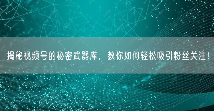 揭秘视频号的秘密武器库，教你如何轻松吸引粉丝关注！