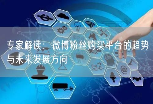 专家解读：微博粉丝购买平台的趋势与未来发展方向