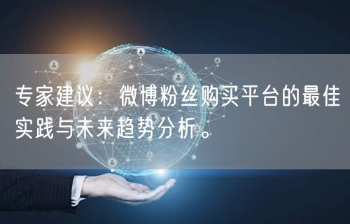 专家建议：微博粉丝购买平台的最佳实践与未来趋势分析。