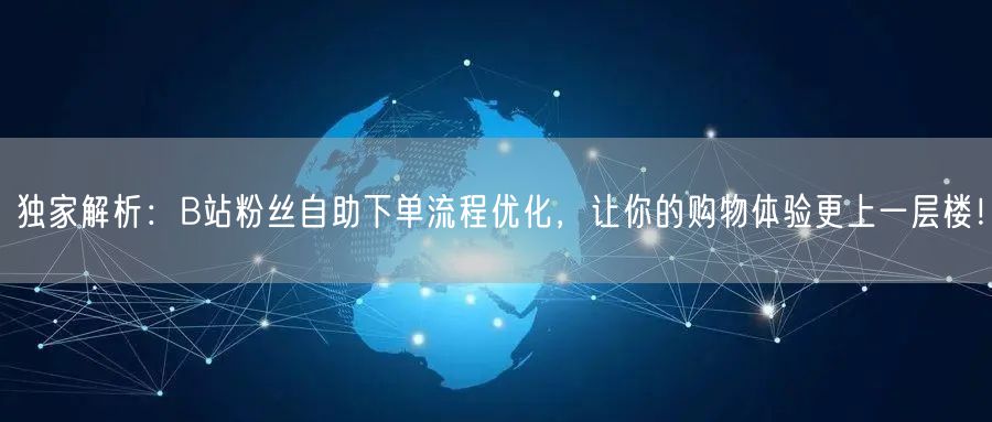 独家解析：B站粉丝自助下单流程优化，让你的购物体验更上一层楼！