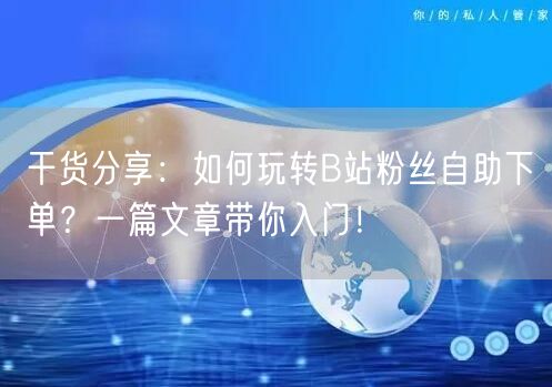 干货分享：如何玩转B站粉丝自助下单？一篇文章带你入门！