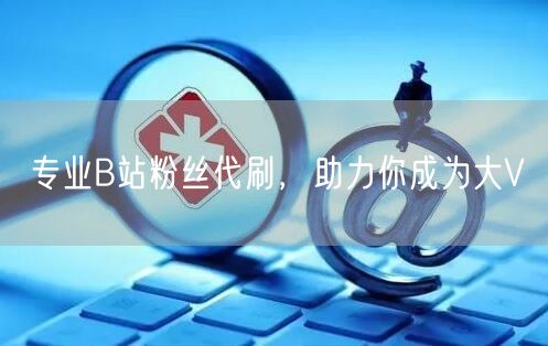 专业B站粉丝代刷，助力你成为大V