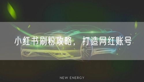 小红书刷粉攻略，打造网红账号