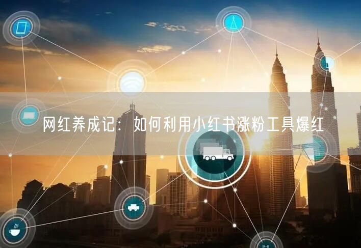 网红养成记：如何利用小红书涨粉工具爆红