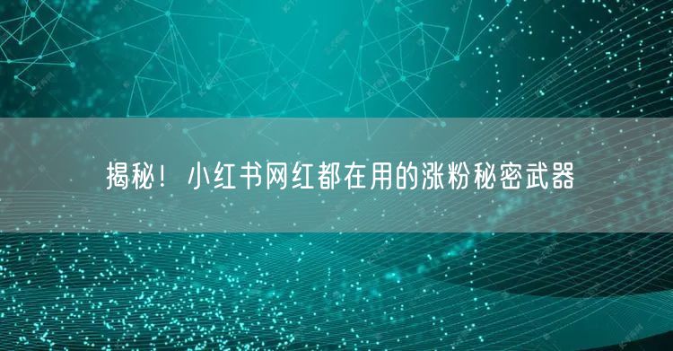 揭秘！小红书网红都在用的涨粉秘密武器