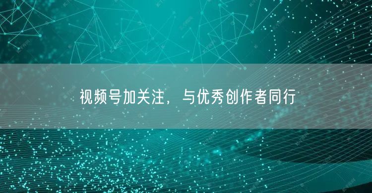 视频号加关注，与优秀创作者同行