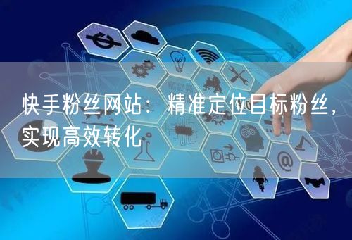 快手粉丝网站：精准定位目标粉丝，实现高效转化