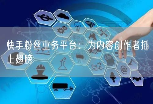 快手粉丝业务平台：为内容创作者插上翅膀