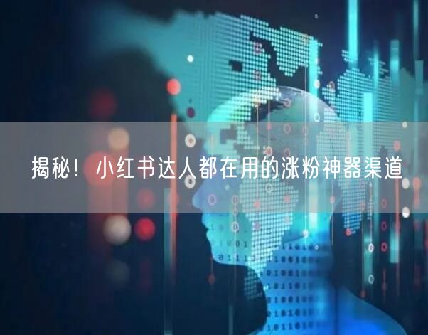 揭秘！小红书达人都在用的涨粉神器渠道
