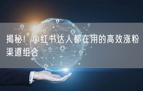 揭秘！小红书达人都在用的高效涨粉渠道组合
