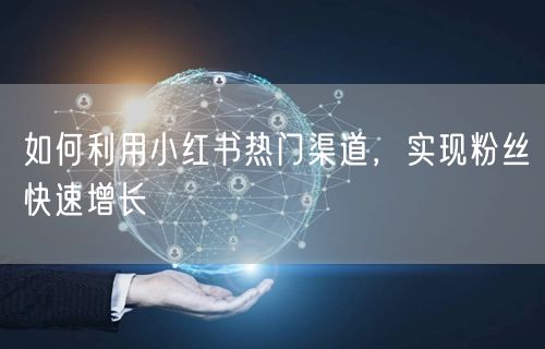 如何利用小红书热门渠道，实现粉丝快速增长