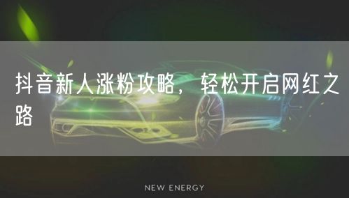 抖音新人涨粉攻略，轻松开启网红之路