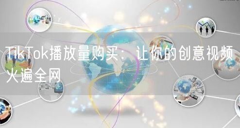 TikTok播放量购买：让你的创意视频火遍全网