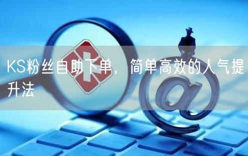 KS粉丝自助下单，简单高效的人气提升法