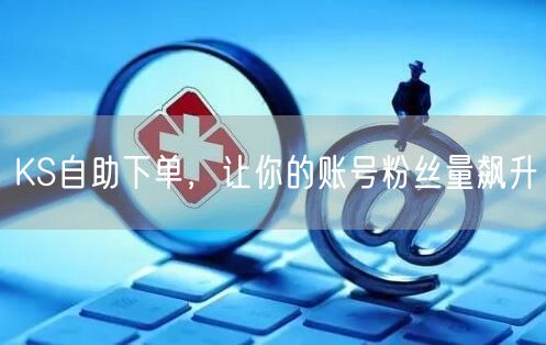 KS自助下单，让你的账号粉丝量飙升