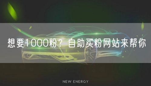 想要1000粉？自助买粉网站来帮你
