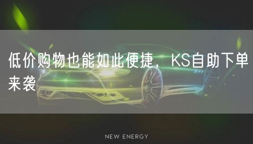 低价购物也能如此便捷，KS自助下单来袭