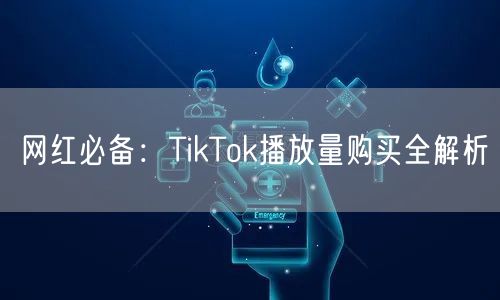 网红必备：TikTok播放量购买全解析