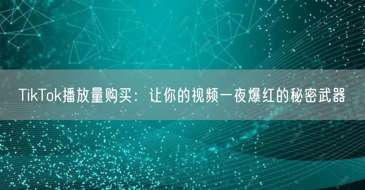 TikTok播放量购买：让你的视频一夜爆红的秘密武器