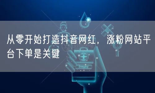 从零开始打造抖音网红，涨粉网站平台下单是关键