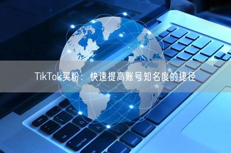 TikTok买粉：快速提高账号知名度的捷径