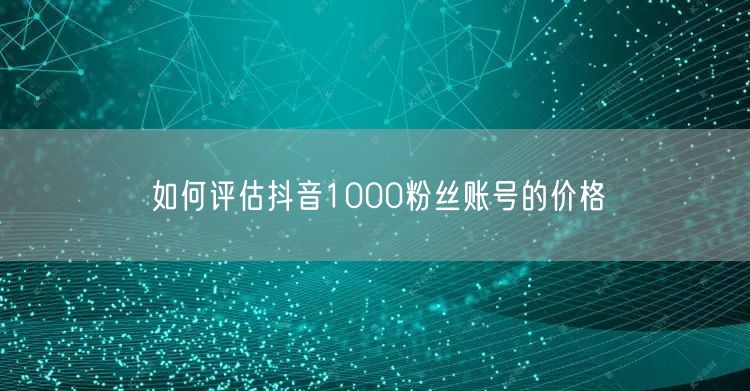 如何评估抖音1000粉丝账号的价格