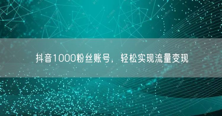 抖音1000粉丝账号，轻松实现流量变现