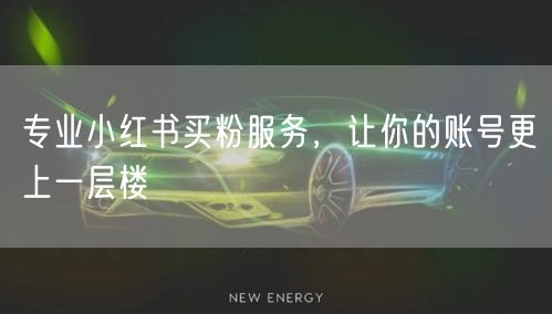 专业小红书买粉服务，让你的账号更上一层楼