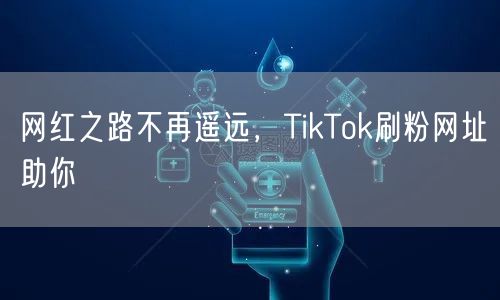 网红之路不再遥远，TikTok刷粉网址助你